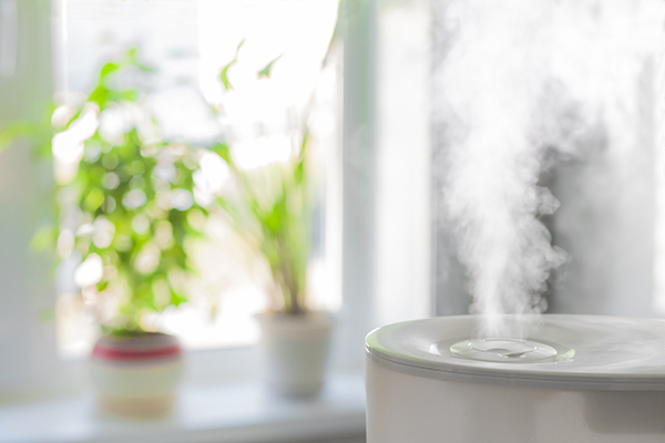 Reasons to Install Humidifiers